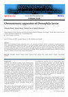 Research paper thumbnail of Chemosensory apparatus of Drosophila larvae