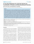 Research paper thumbnail of A Two-Step Mechanism for Cell Fate Decision by Coordination of Nuclear and Mitochondrial p53 Activities