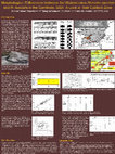 Research paper thumbnail of Morphological differences between the water snakes Nerodia sipedon and N.  fasciata in the Carolinas: a look at their contact zone