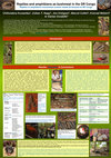 Research paper thumbnail of Reptiles and amphibians as bushmeat in the DR Congo