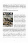 Research paper thumbnail of Book Review: The Dice Snake, Natrix tessellata: Biology, Distribution and Conservation of a Palaearctic Species. Konrad Mebert (éd.). 2011. Mertensiella