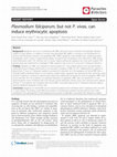 Research paper thumbnail of Plasmodium falciparum , but not P. vivax , can induce erythrocytic apoptosis