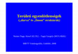 Research paper thumbnail of A területi egyenlőtlenségek durva és finom struktúrái