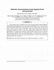 Research paper thumbnail of Molecular characterization of some Egyptian bread wheat genotypes