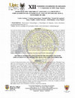 Research paper thumbnail of Sismicidad Tipo “Drumbeat” asociada a la erupción y emplazamiento de un domo en El Volcán Nevado del Huila, Noviembre de 2008