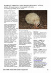 Research paper thumbnail of First Record of Albinism in Indian Hedgehog Paraechinus micropus (Blyth) (Erinaceomorpha : Erinaceidae) from India