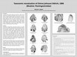 Research paper thumbnail of Taxonomic reevaluation of Ostrea johnsoni Aldrich, 1886 (Bivalvia: Flemingostreidae)