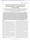 Research paper thumbnail of Lamin B1 mediates cell-autonomous neuropathology in a leukodystrophy mouse model