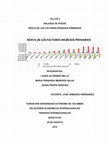 Research paper thumbnail of RENTA DE LOS FACTORES INGRESOS PRIMARIOS