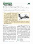 Research paper thumbnail of N and O Isotope Fractionation in Nitrate during Chemolithoautotrophic Denitrification by Sulfurimonas gotlandica