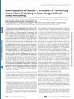 Research paper thumbnail of Down-regulation of Caveolin-1, an Inhibitor of Transforming Growth Factor-  Signaling, in Acute Allergen-induced Airway Remodeling