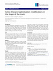 Research paper thumbnail of Active thoracic kyphotisation: modifications in the shape of the trunk