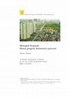 Research paper thumbnail of Aimini M. (2015). Metropoli Tropicale : Hanoi, progetti, strati e processi. In : Planum, The Journal of Urbanism, n.29, p. 10-74, Milano. ISSN: 1723-0993