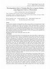 Research paper thumbnail of Photodegradation Study of Toluidine Blue Dye in Aqueous Solution using Magnesium Oxide as a Photocatalyst