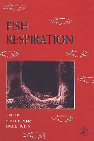 Research paper thumbnail of Fish_Physiology_1998_Vol_17_Fish_Respiration