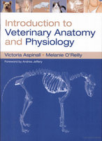 Research paper thumbnail of Introduction_to_Veterinary_Anatomy