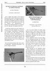 Research paper thumbnail of Kunz B. (2003) Mehrere Beobachtungen von Sympetrum meridionale in NO–Württemberg. Mercuriale 3: 36