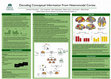 Research paper thumbnail of Decoding Conceptual Information From Heteromodal Cortex