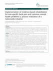 Research paper thumbnail of Implementation of evidence-based rehabilitation for non-specific back pain and common mental health problems: a process evaluation of a nationwide initiative