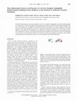 Research paper thumbnail of Three-Dimensional Structure and Dynamics of a de Novo Designed, Amphiphilic, Metallo-Porphyrin-Binding Protein Maquette at Soft Interfaces by Molecular Dynamics Simulations