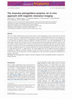 Research paper thumbnail of The musculus pterygoïdeus proprius: an in-vivo approach with magnetic resonance imaging