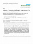 Research paper thumbnail of Regulation of Mammalian Gene Dosage by Long Noncoding RNAs