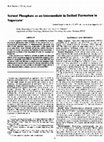 Research paper thumbnail of Serinol Phosphate as an Intermediate in Serinol Formation in Sugarcane