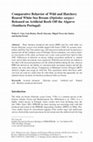 Research paper thumbnail of Comparative Behavior of Wild and Hatchery Reared White Sea Bream ( Diplodus sargus ) Released on Artificial Reefs Off the Algarve (Southern Portugal)