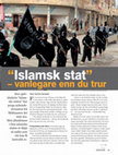 Research paper thumbnail of 'Islamsk stat': vanlegare enn du trur - Apollon (UiOs forskningsmagasin)