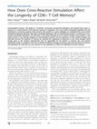 Research paper thumbnail of How Does Cross-Reactive Stimulation Affect the Longevity of CD8+ T Cell Memory?