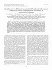 Research paper thumbnail of Identification of a Mutation Associated with Erythromycin Resistance in Bordetella pertussis: Implications for Surveillance of Antimicrobial Resistance