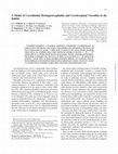 Research paper thumbnail of A Model of Coccidioidal Meningoencephalitis and Cerebrospinal Vasculitis in the Rabbit