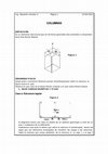 Research paper thumbnail of Columnas