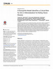 Research paper thumbnail of A Drosophila Model Identifies a Critical Role for Zinc in Mineralization for Kidney Stone Disease