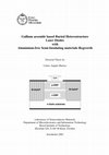 Research paper thumbnail of Gallium arsenide based Buried Heterostructure Laser Diodes with Aluminium-free Semi-Insulating materials Regrowth Doctoral Thesis by