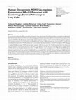 Research paper thumbnail of Human Oncoprotein MDM2 Up-regulates Expression of NF-κB2 Precursor p100 Conferring a Survival Advantage to Lung Cells