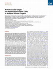 Research paper thumbnail of A Perivascular Origin for Mesenchymal Stem Cells in Multiple Human Organs