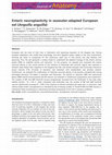 Research paper thumbnail of Enteric neuroplasticity in seawater-adapted European eel ( Anguilla anguilla )