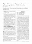 Research paper thumbnail of Cytoarchitecture, morphology, and lumbosacral spinal cord projections of the red nucleus in cattle