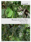 Research paper thumbnail of Associação entre árvores e lianas