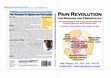 Research paper thumbnail of Pain Revolution for Migraine and Fibromyalgia: The Paradigm-Shifting Guide for Doctors and Patients Dealing with Chronic Pain