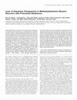 Research paper thumbnail of Loss of dopamine transporters in methamphetamine abusers recovers with protracted abstinence