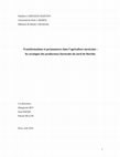 Research paper thumbnail of Transformations et permanences dans l’agriculture mexicaine : les stratégies des producteurs horticoles du nord de Morelos [Transformations and permanencies in Mexico’s agricultural sector: the strategies of horticultural producers in the north of Morelos]