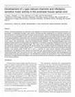 Research paper thumbnail of Development of L-type calcium channels and a nifedipine-sensitive motor activity in the postnatal mouse spinal cord