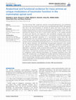 Research paper thumbnail of Anatomical and functional evidence for trace amines as unique modulators of locomotor function in the mammalian spinal cord