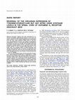 Research paper thumbnail of Reversal of the circadian expression of tyrosine-hydroxylase but not nitric oxide synthase levels in the spinal cord of dopamine D3 receptor knockout mice