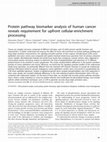 Research paper thumbnail of Protein pathway biomarker analysis of human cancer reveals requirement for upfront cellular-enrichment processing