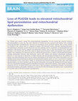 Research paper thumbnail of Loss of PLA2G6 leads to elevated mitochondrial lipid peroxidation and mitochondrial dysfunction