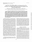 Research paper thumbnail of Quail Pax-6 (Pax-QNR) mRNAs are expressed from two promoters used differentially during retina development and neuronal differentiation