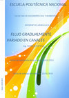 Research paper thumbnail of FLUJO GRADUALMENTE VARIADO EN CANALES